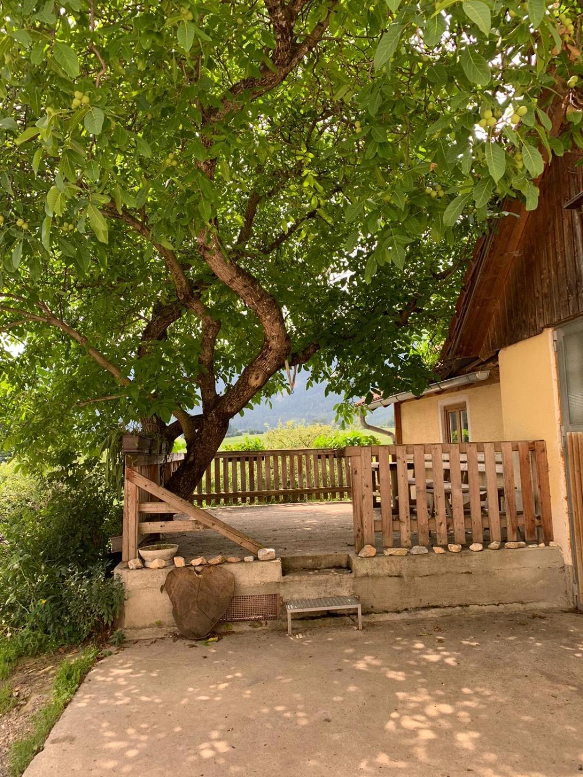 Biohof Golly Farm stay Neumarkt in Steiermark