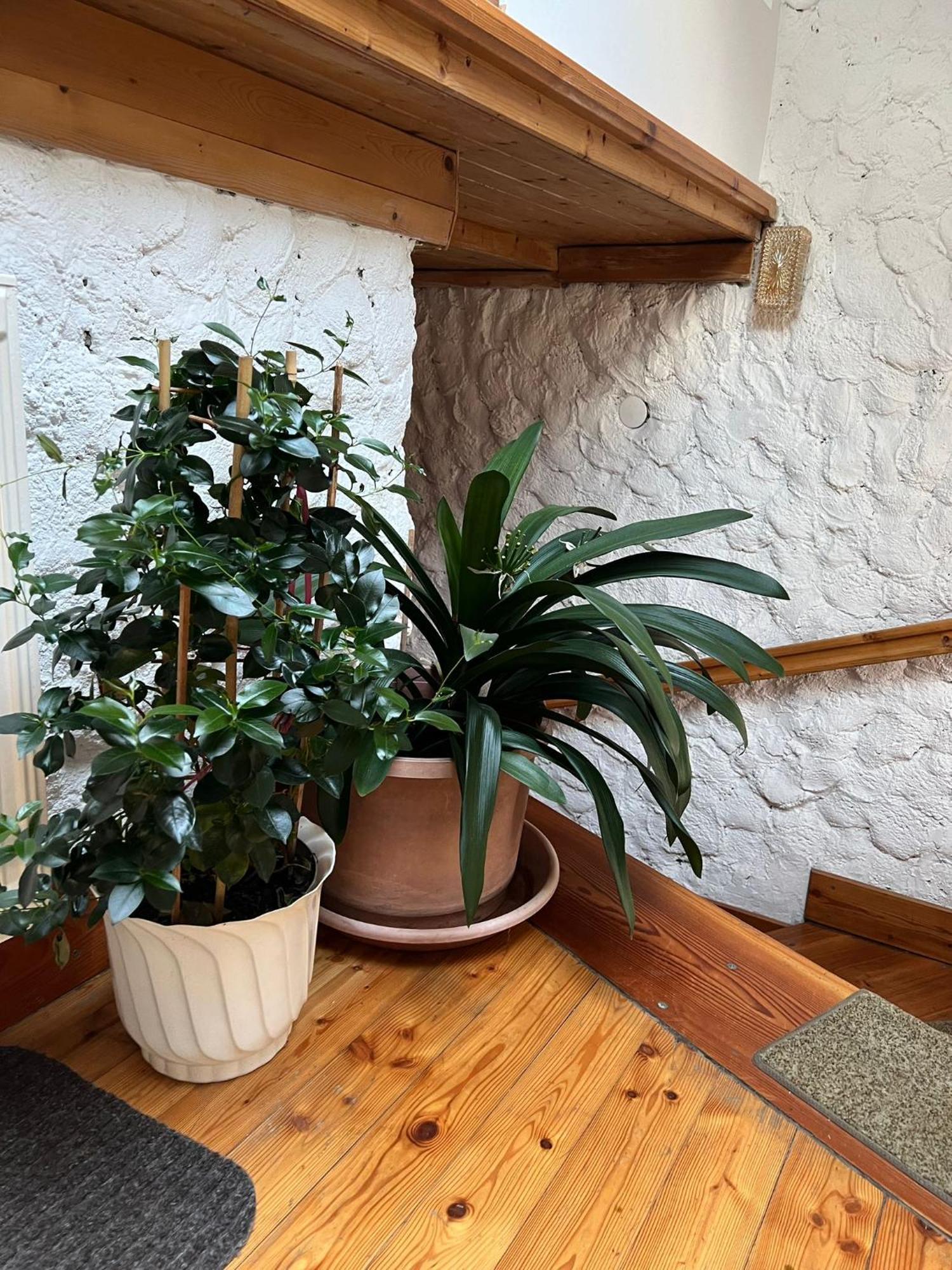 Farma Biohof Goelly